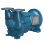 Вакуум помпа с воден пръстен Pompetravaini TRVX 1003 Чугун, свободен вал